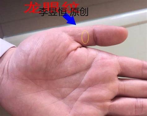 大拇指 節紋 2024 香港地運